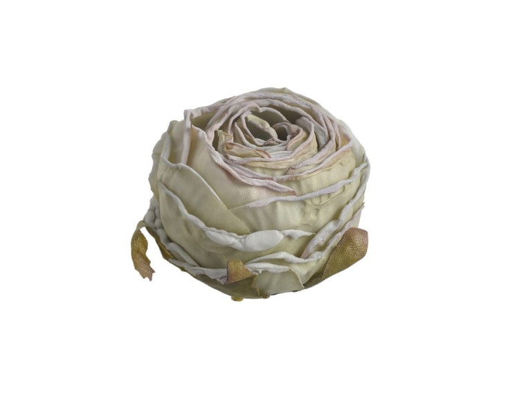 piękna róża w stylu schabby -beżowa