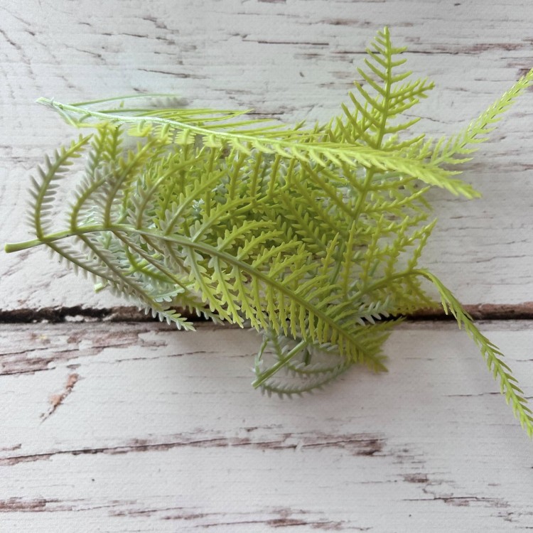drobne gałązki zielone paprotki - 12 sztuk