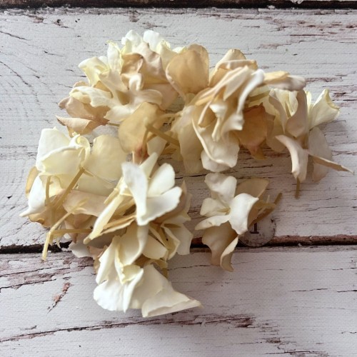 Patynowane -schabby płatki - cieniowane ecru