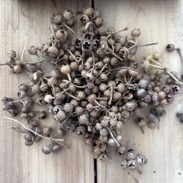 Suszki mini dzwoneczki 200 sztuk