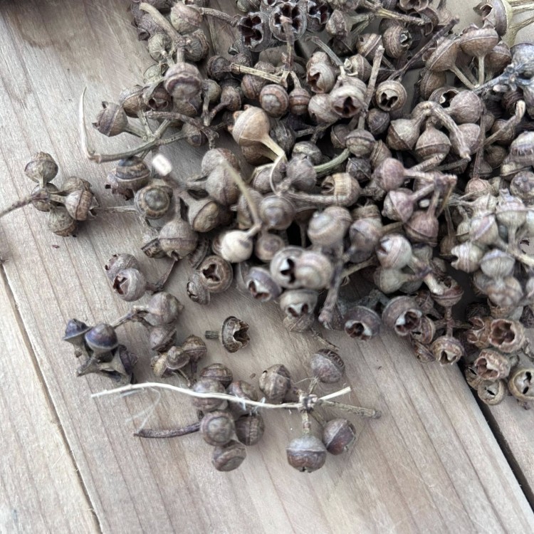 Suszki mini dzwoneczki 200 sztuk