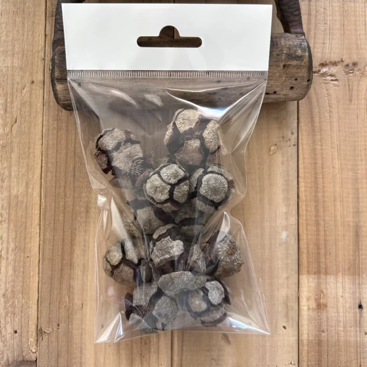 Suszki duże szyszki 12 sztuk