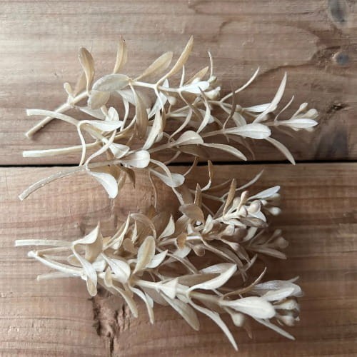 drobne gałązki patynowane ecru