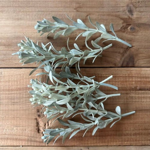 drobne gałązki patynowane ecru