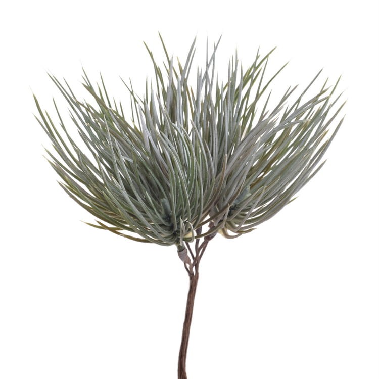 Dodatek florystyczny Gałązka iglasta pik