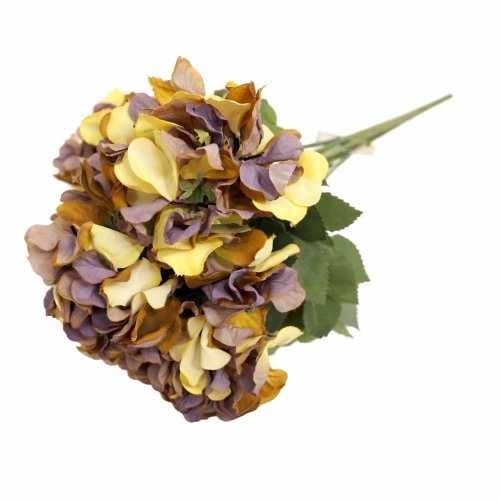 bukiet hortensji w stylu vintage -zasuszane płatki